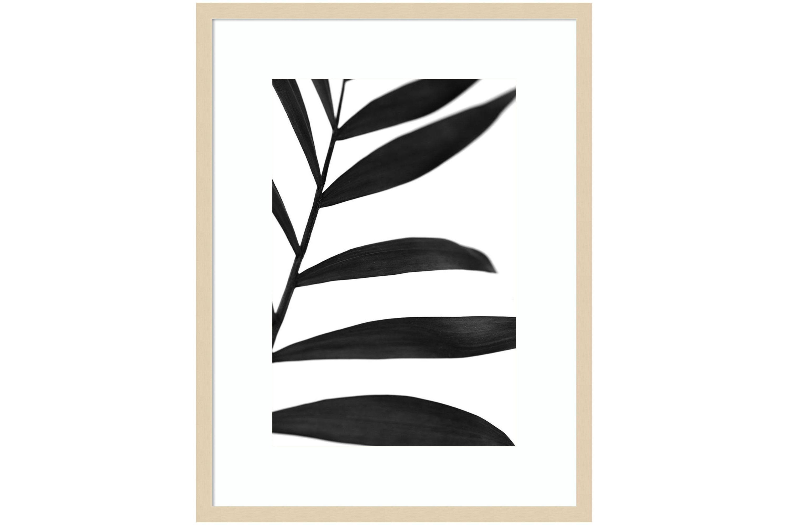 Black Palms V Framed Wall Art Print