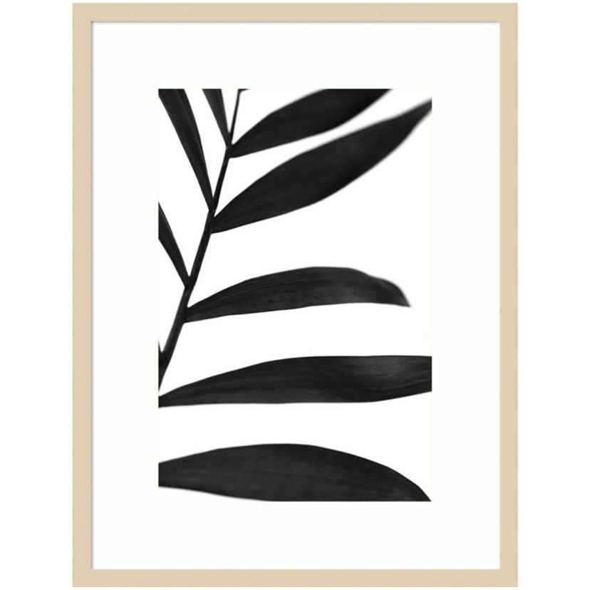 Black Palms V Framed Wall Art Print