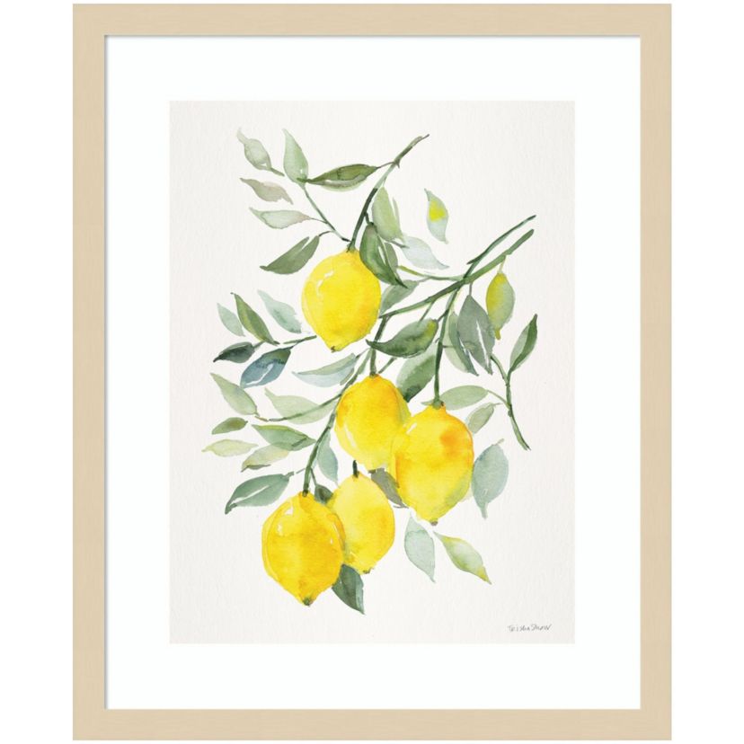 Lemon Citrus Framed Wall Art Print