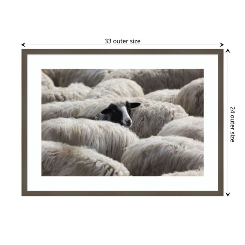 The Sheeps Gaze Framed Wall Art Print