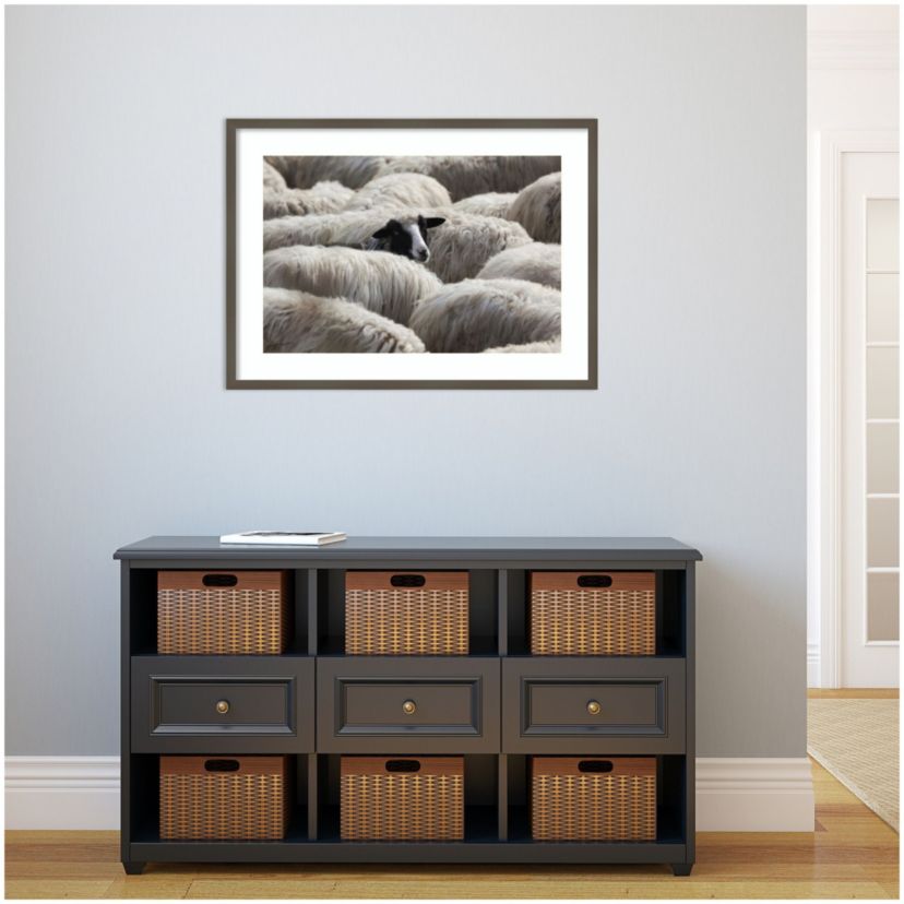 The Sheeps Gaze Framed Wall Art Print