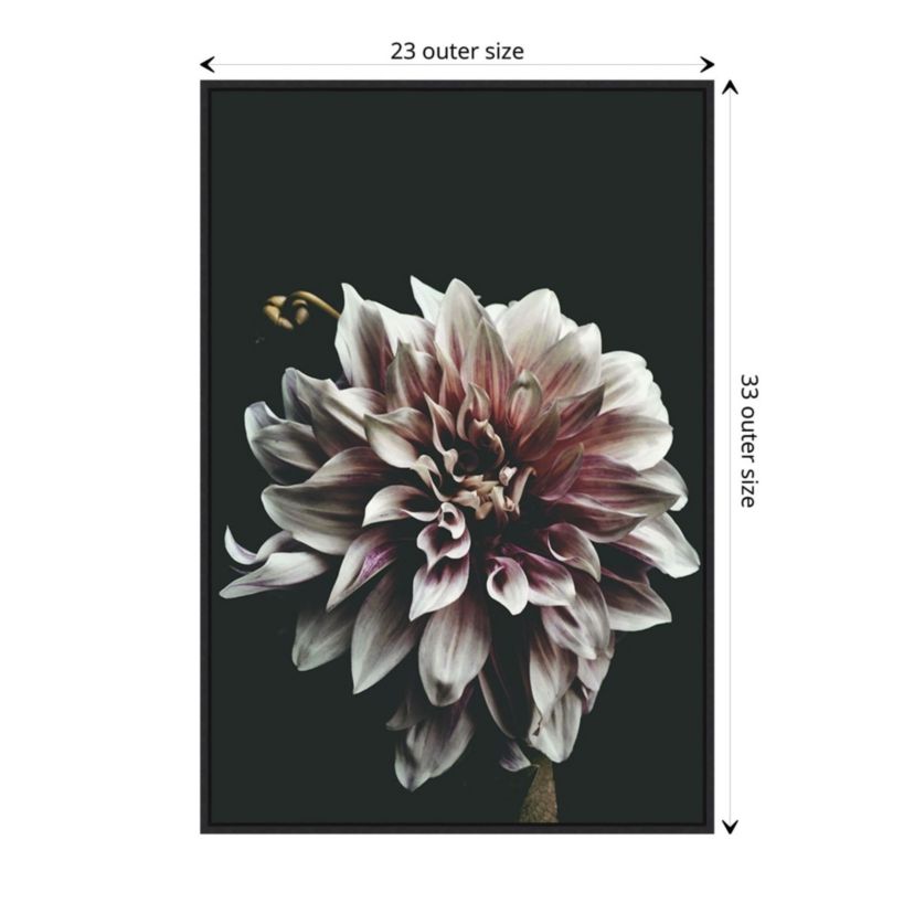 Dazed Dahlia Framed Canvas Wall Art Print
