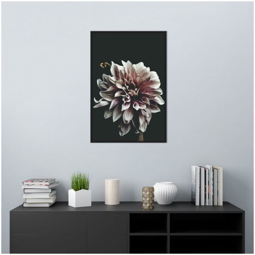Dazed Dahlia Framed Canvas Wall Art Print