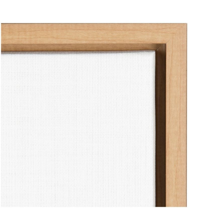 Petal Passion XI Eventide Framed Canvas Wall Art Print