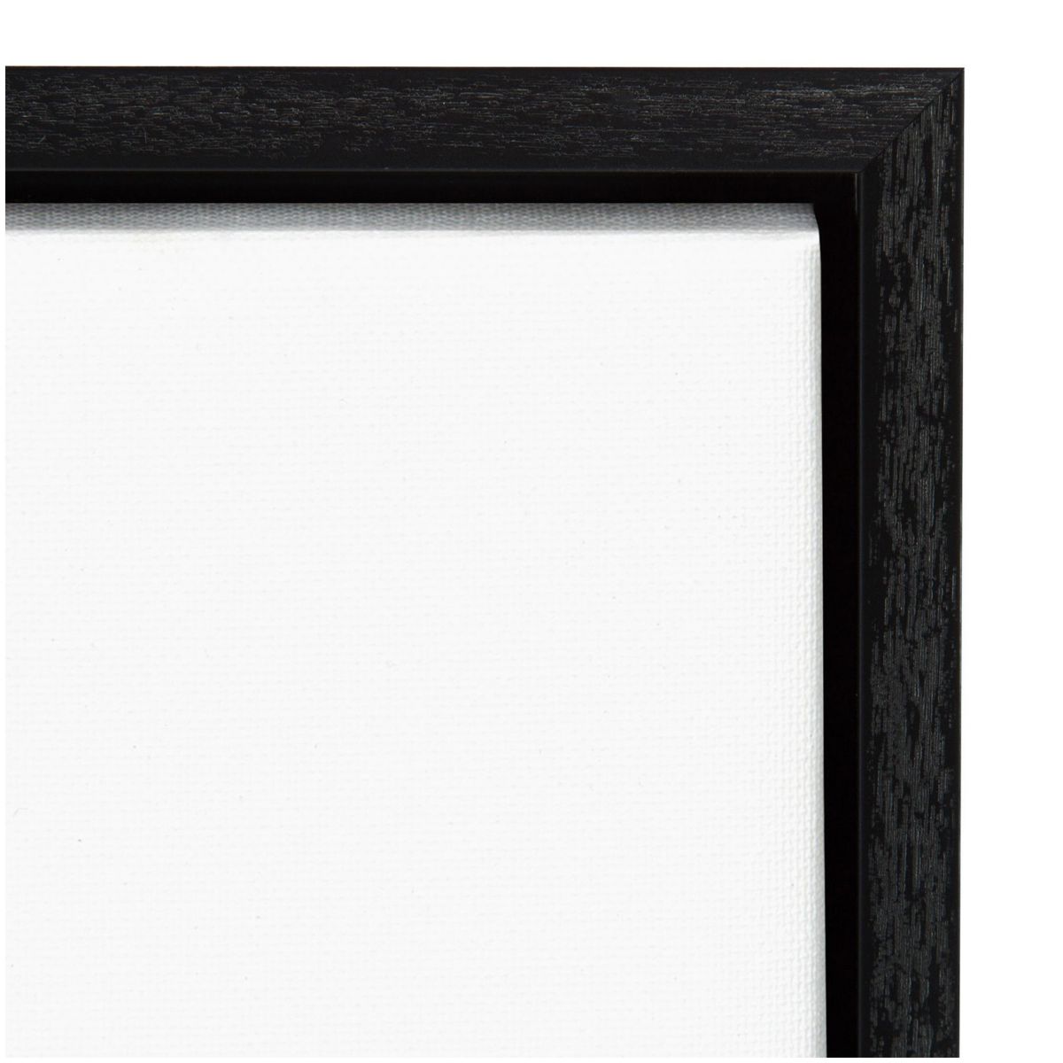 Modern Flower III Framed Canvas Wall Art Print