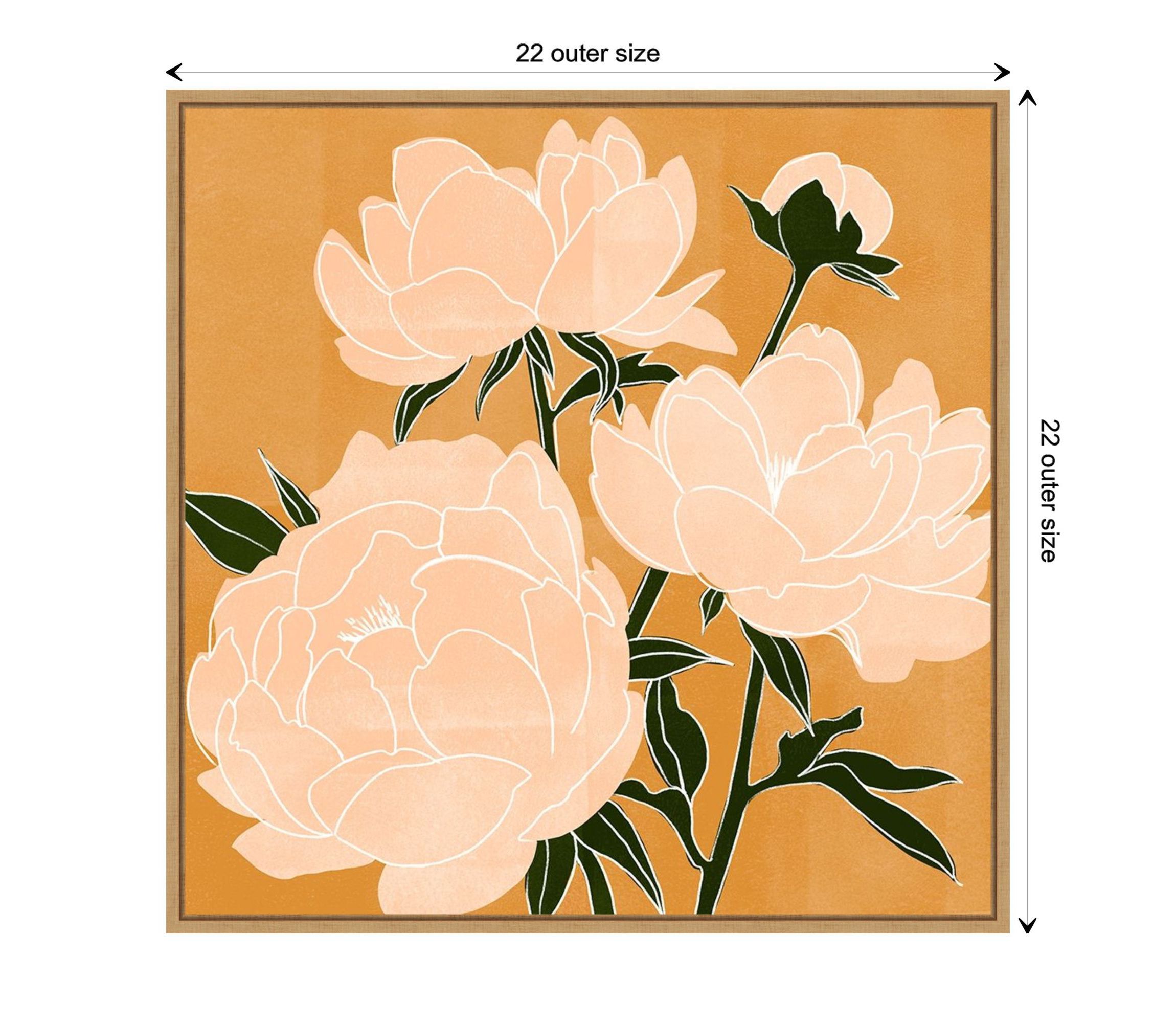 Modern Peonies II Framed Canvas Wall Art Print