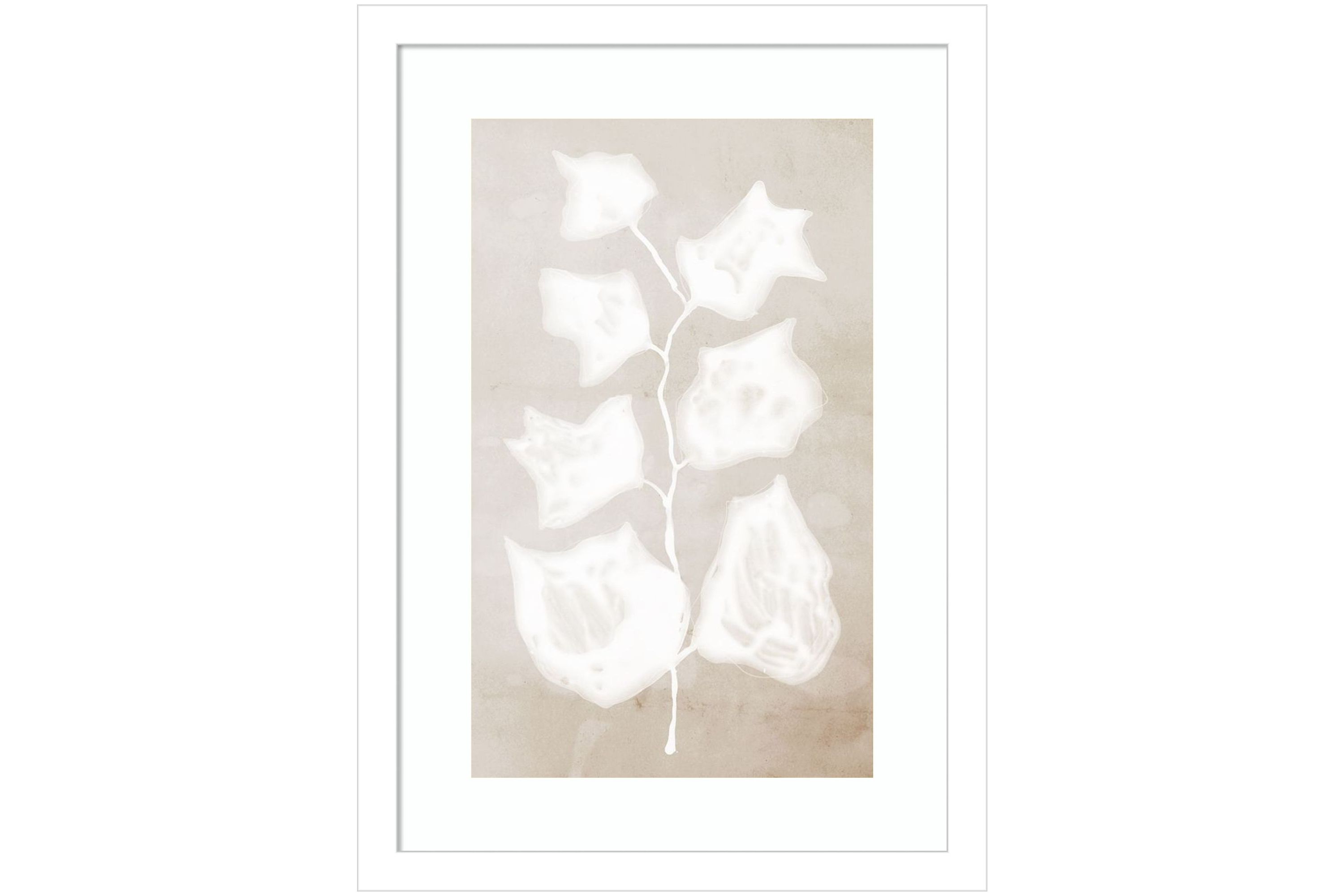 Paper Bark II Framed Wall Art Print