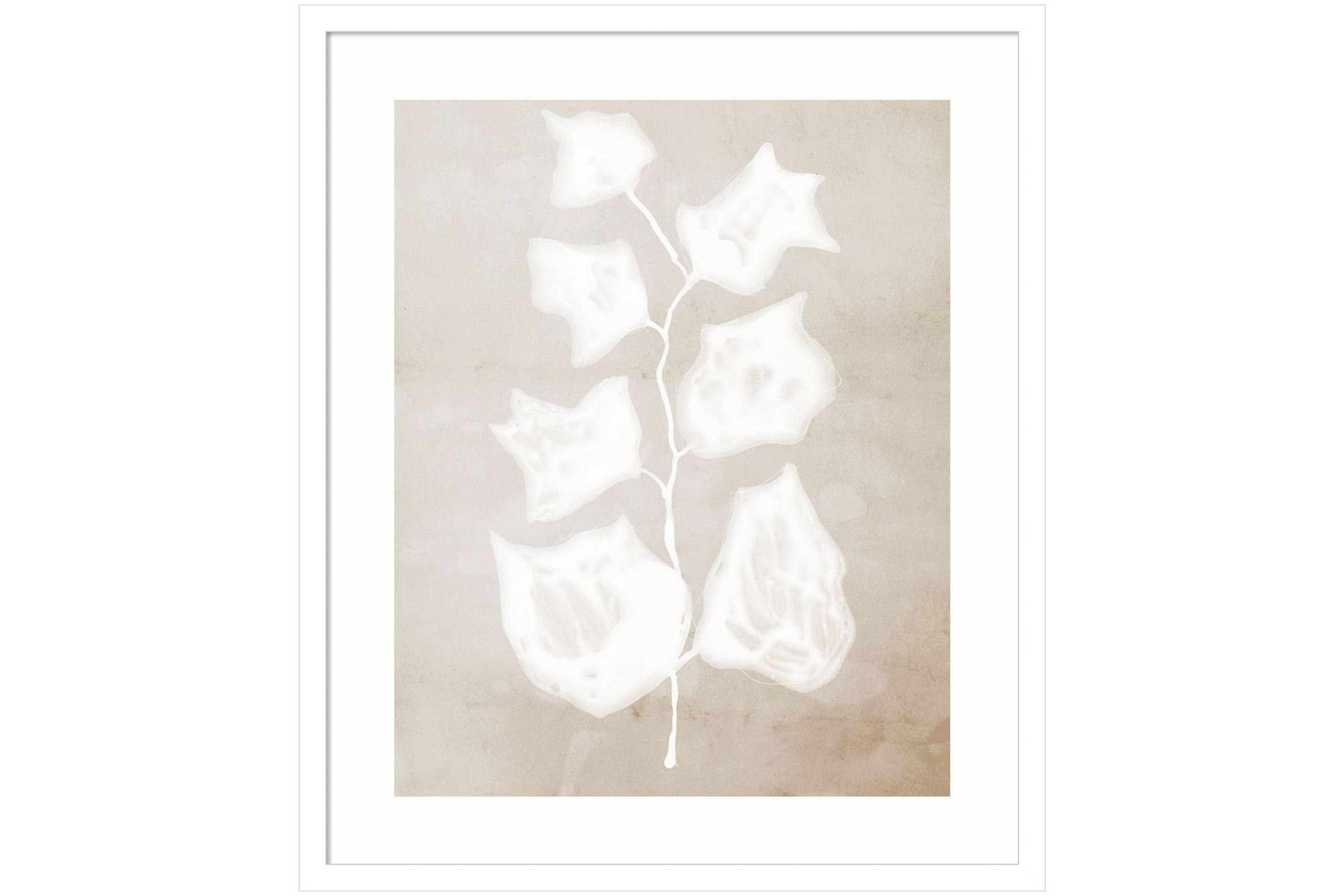 Paper Bark II by Urban Road Wood Framed Wall Art Print