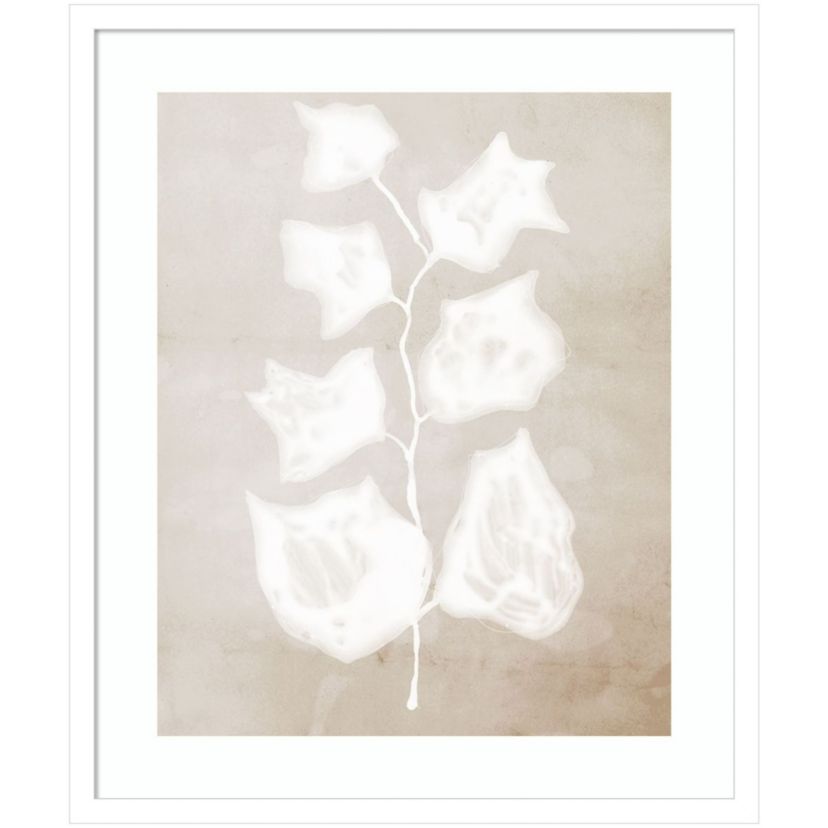 Paper Bark II by Urban Road Wood Framed Wall Art Print