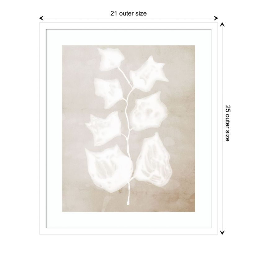 Paper Bark II by Urban Road Wood Framed Wall Art Print