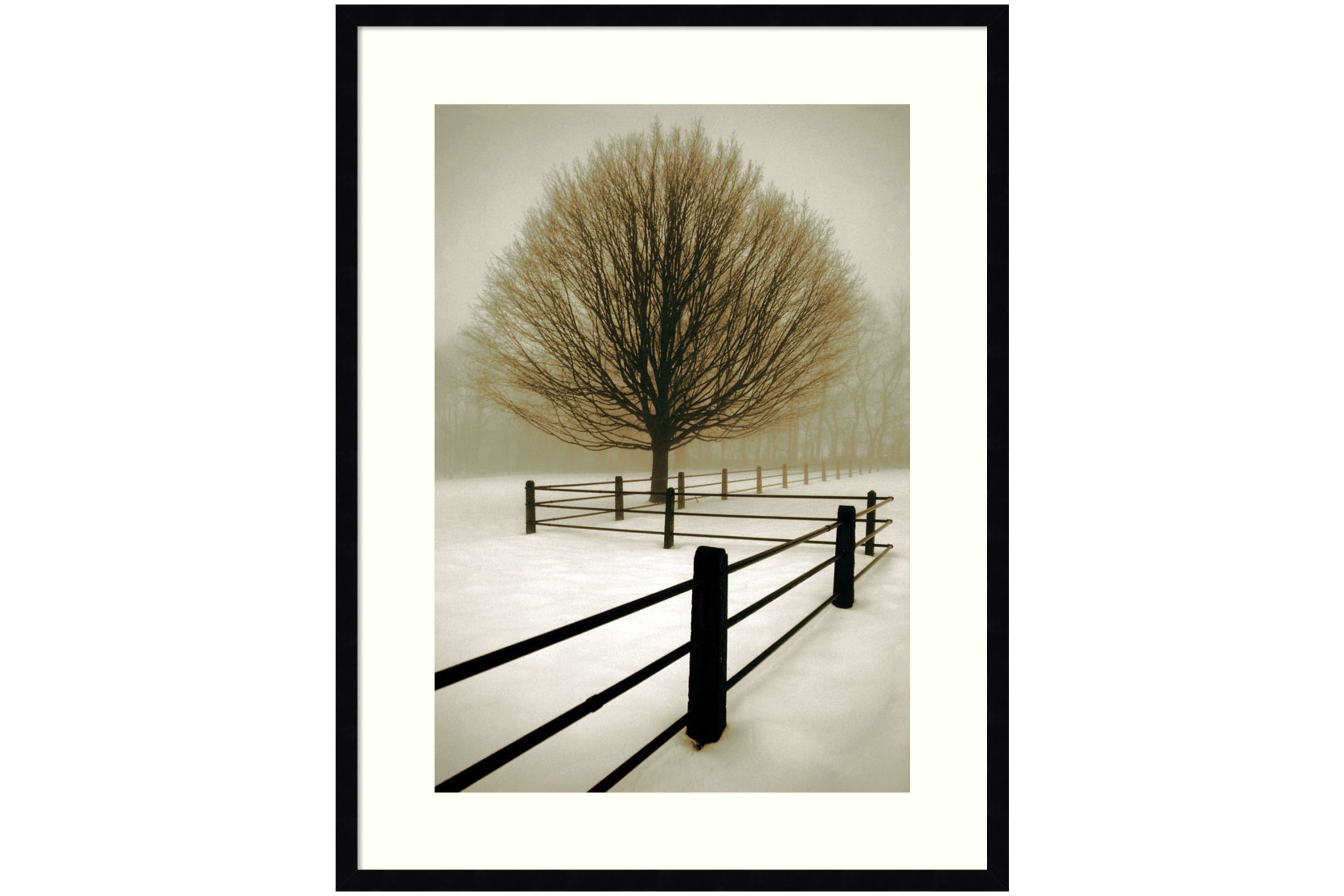 Solitude by David Lorenz Winston Wood Framed Wall Art Print