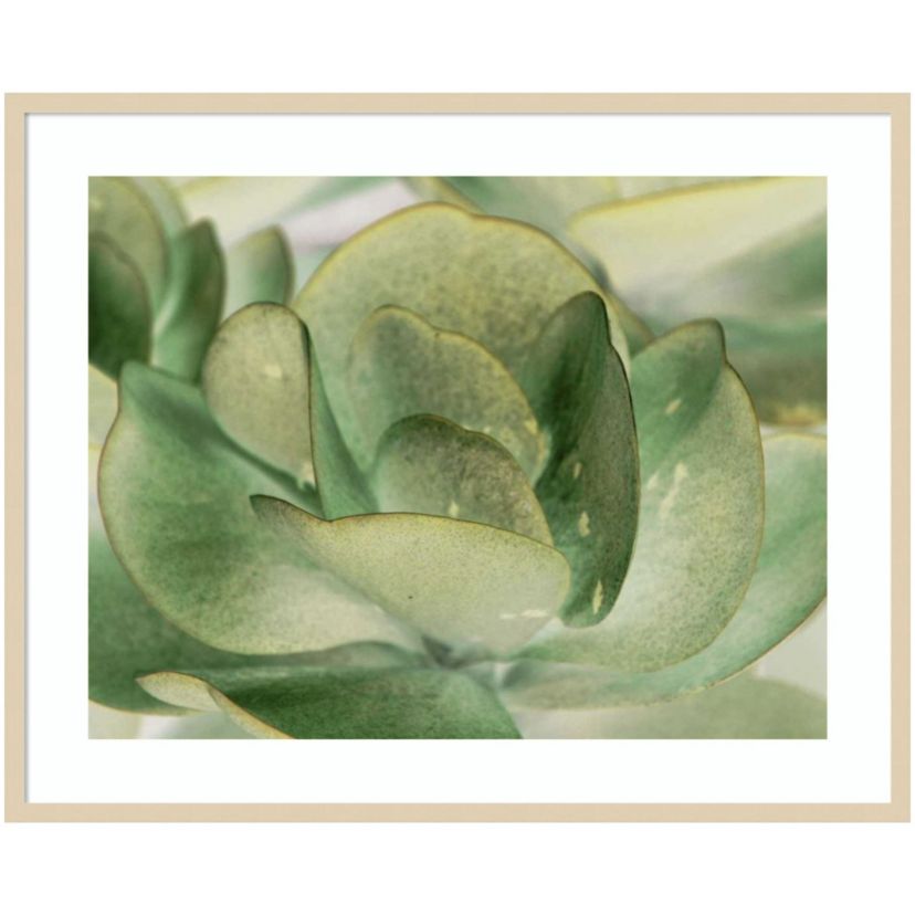 Petal I by Tang Ling Wood Framed Wall Art Print