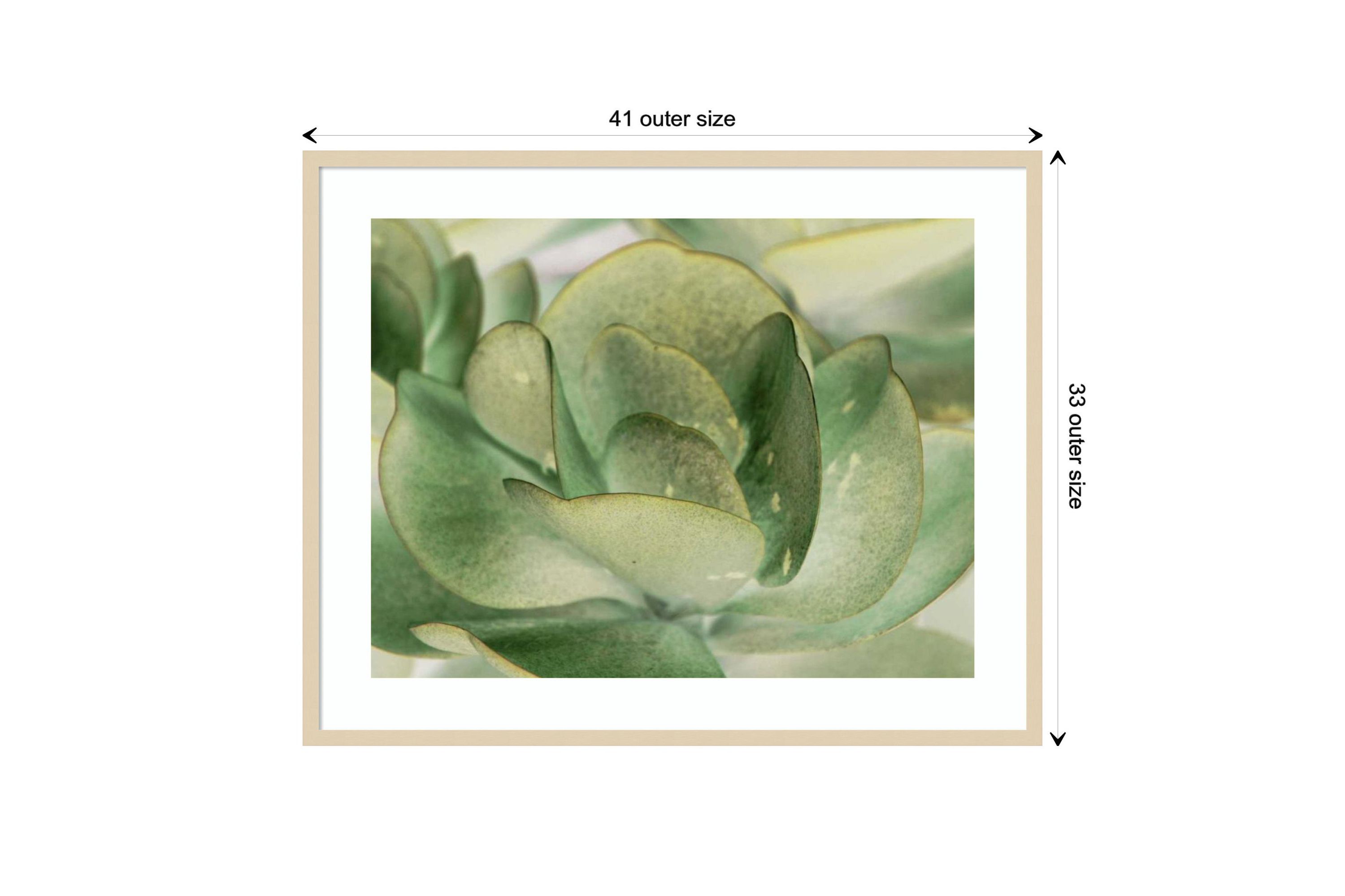 Petal I by Tang Ling Wood Framed Wall Art Print