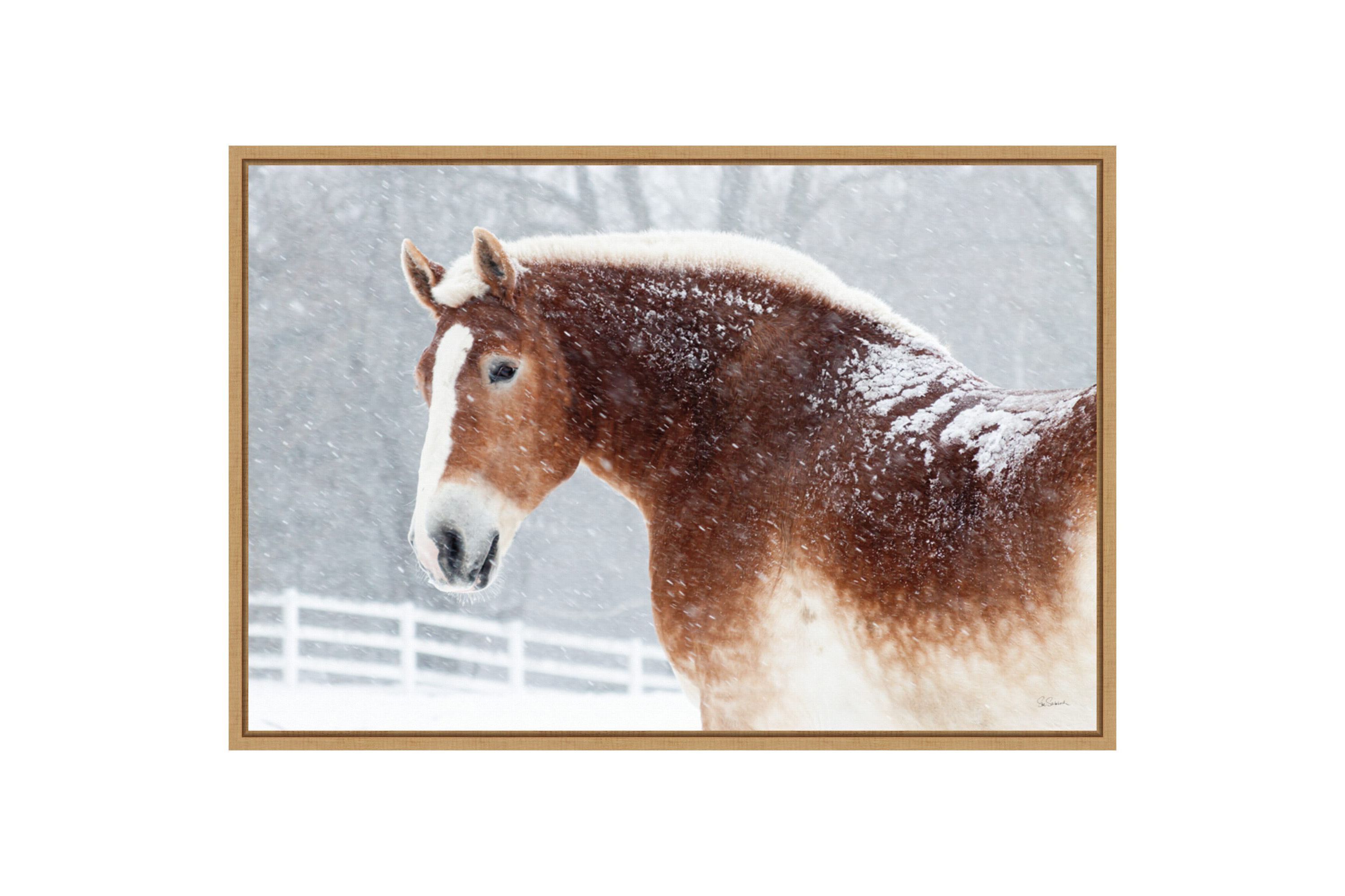 Snowy Draft Horse Framed Canvas Wall Art Print