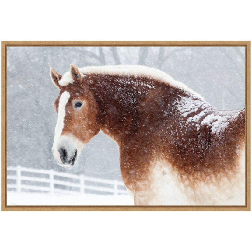Snowy Draft Horse Framed Canvas Wall Art Print