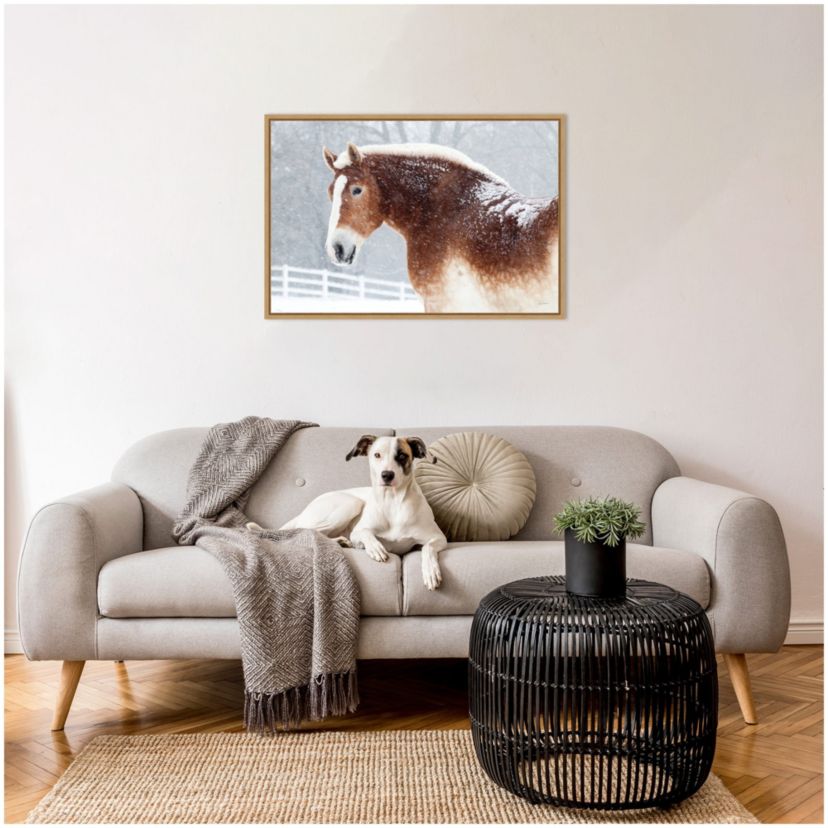 Snowy Draft Horse Framed Canvas Wall Art Print