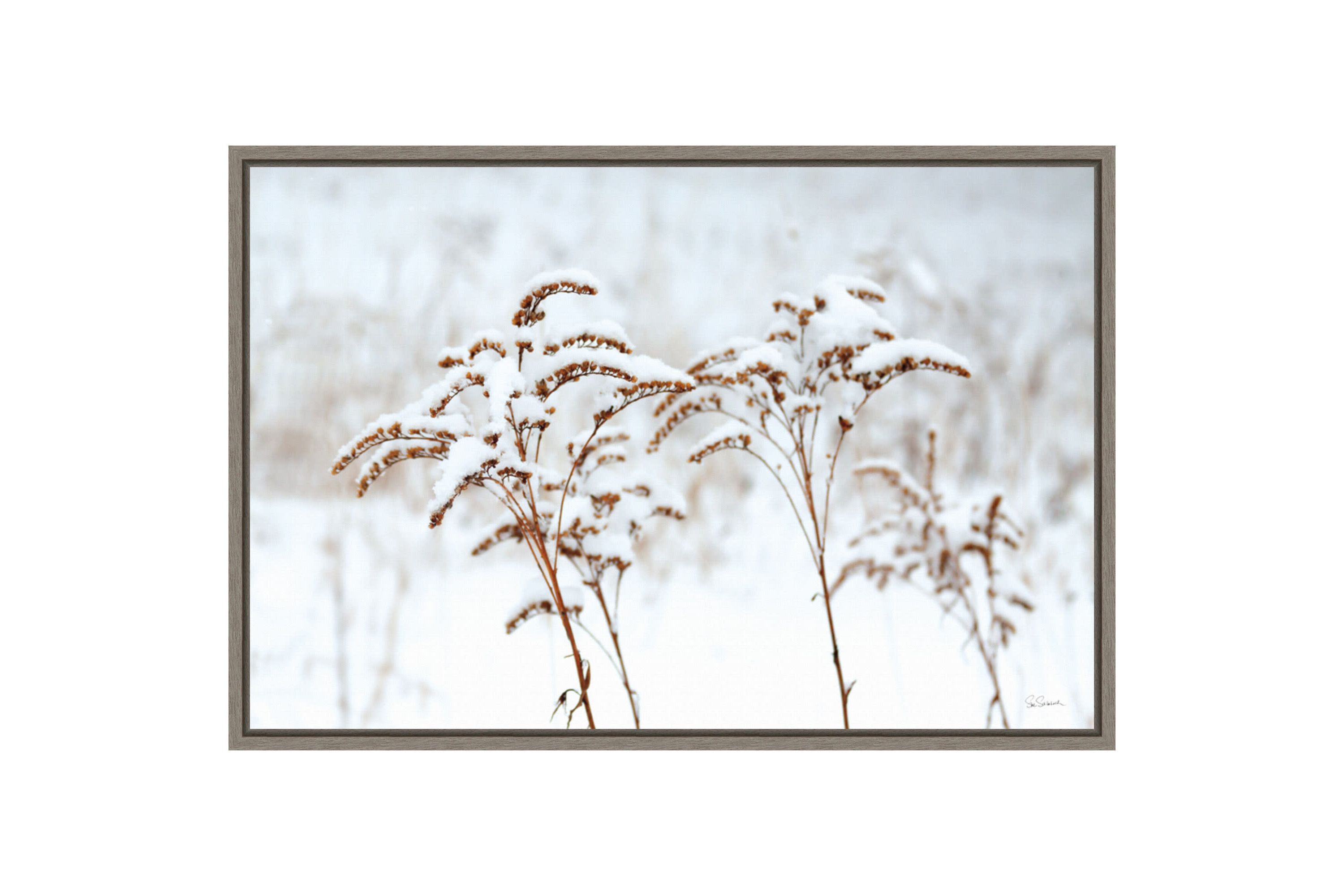 Snowy Gardens Framed Canvas Wall Art Print