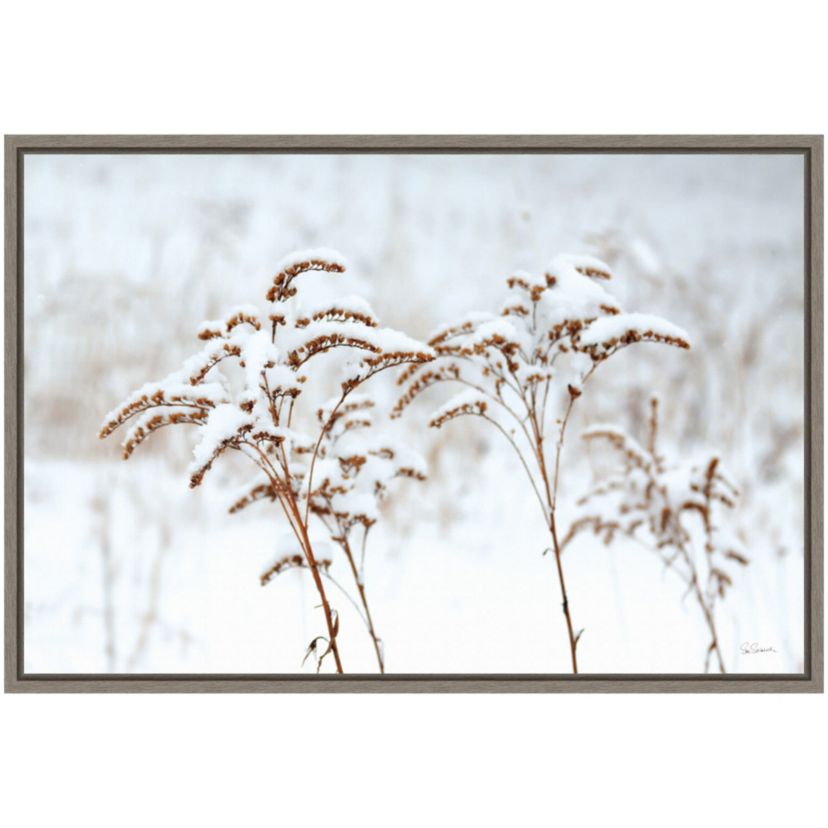 Snowy Gardens Framed Canvas Wall Art Print