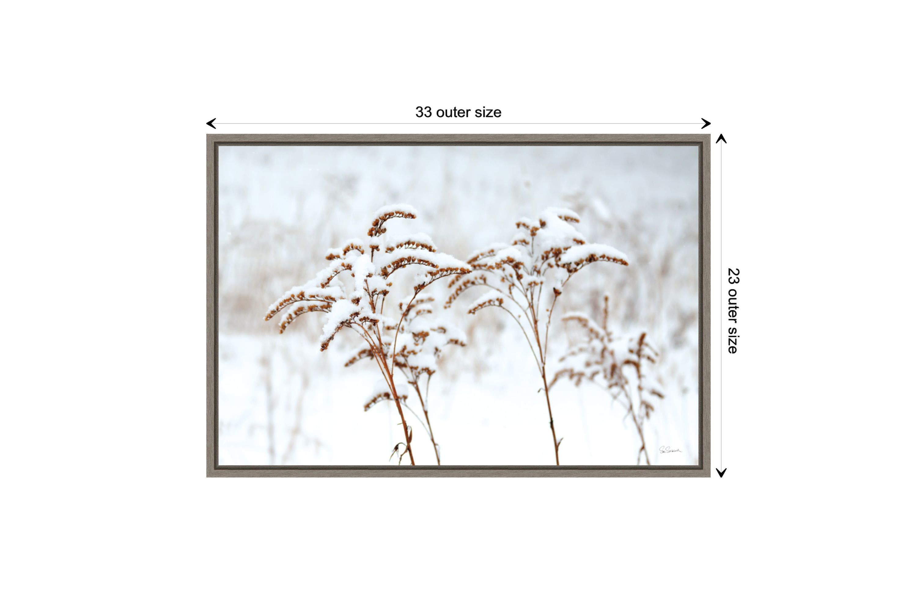 Snowy Gardens Framed Canvas Wall Art Print