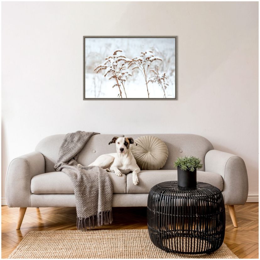 Snowy Gardens Framed Canvas Wall Art Print