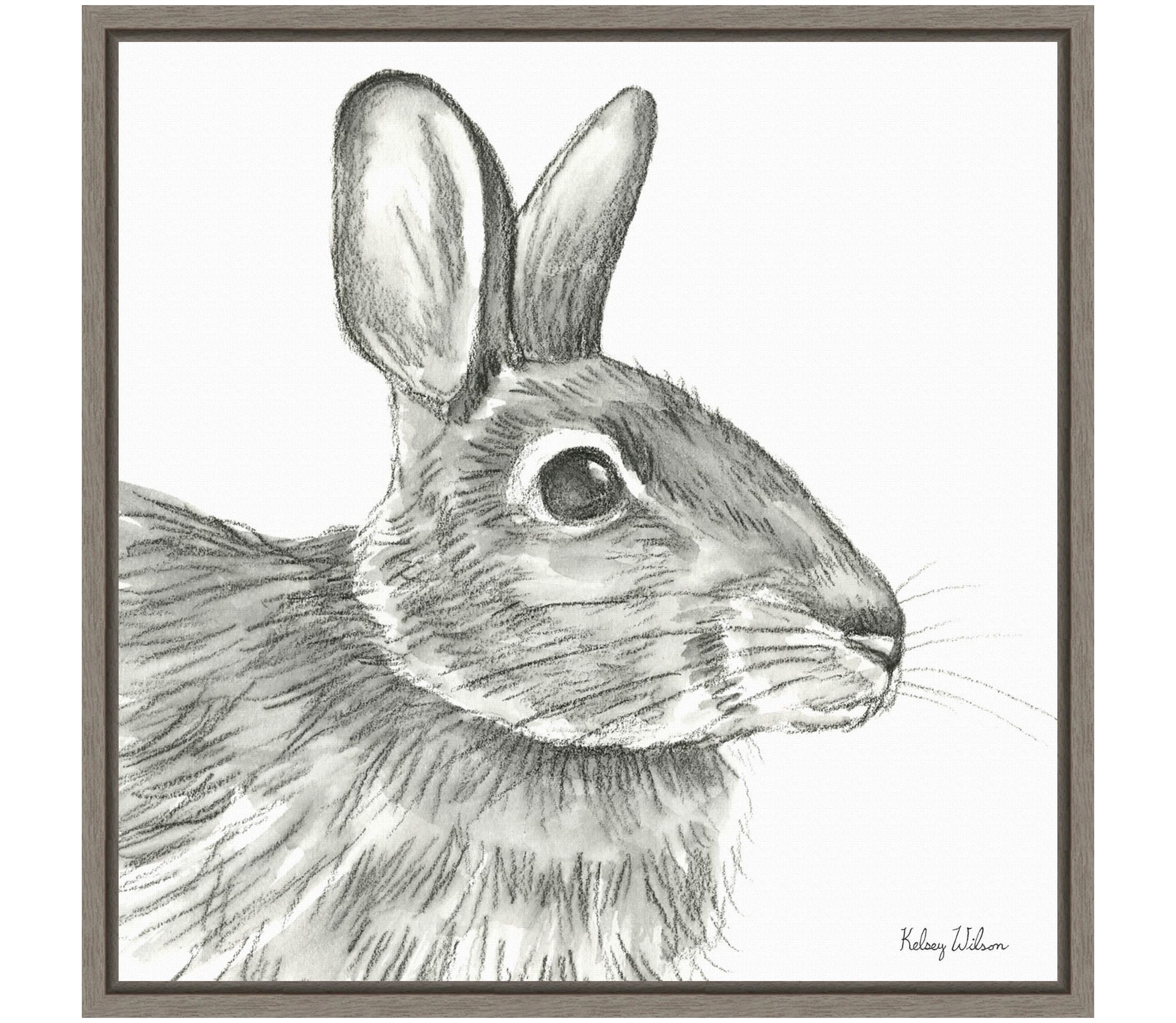 Watercolor Pencil II Rabbit Framed Canvas Wall Art Print