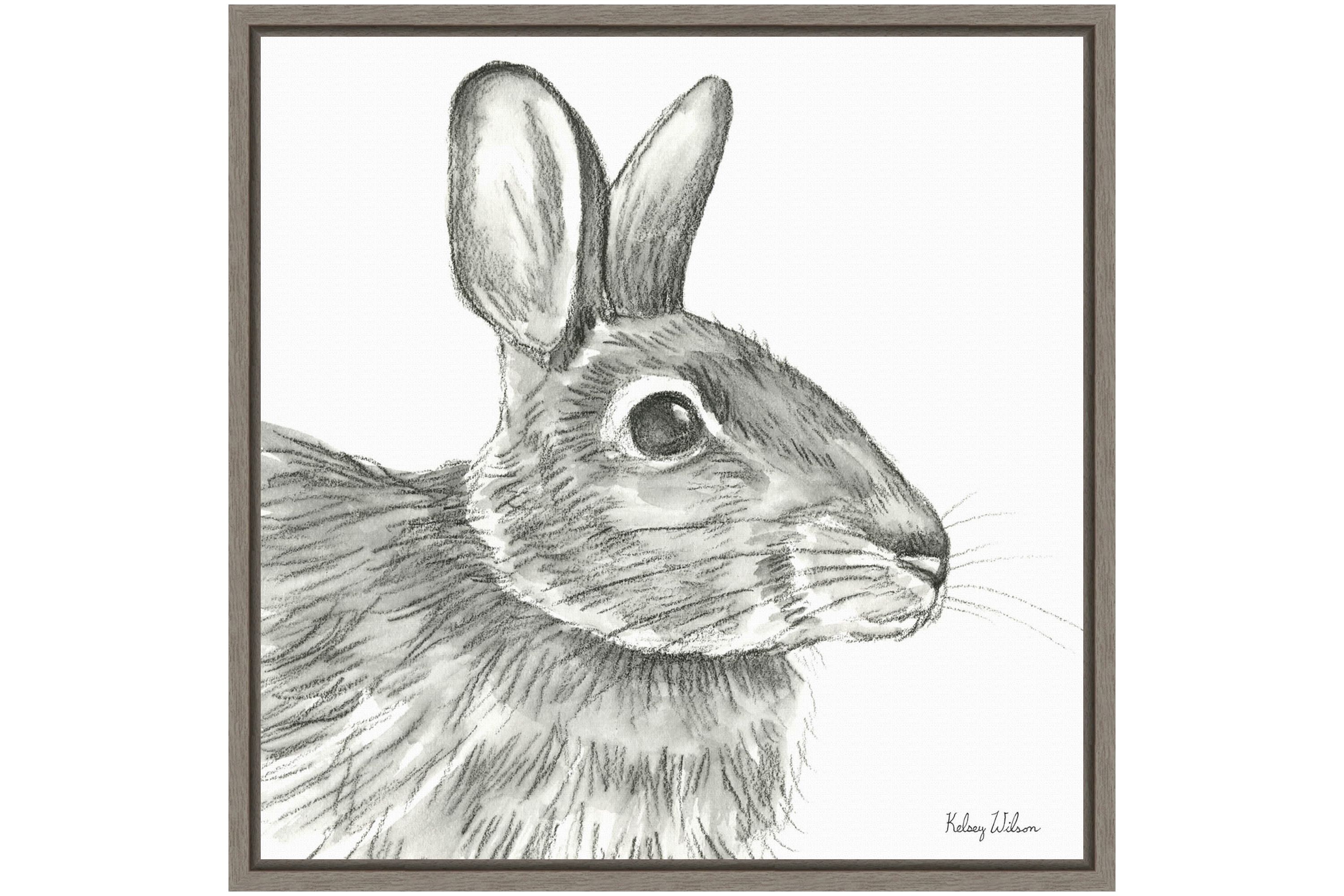 Watercolor Pencil II Rabbit Framed Canvas Wall Art Print
