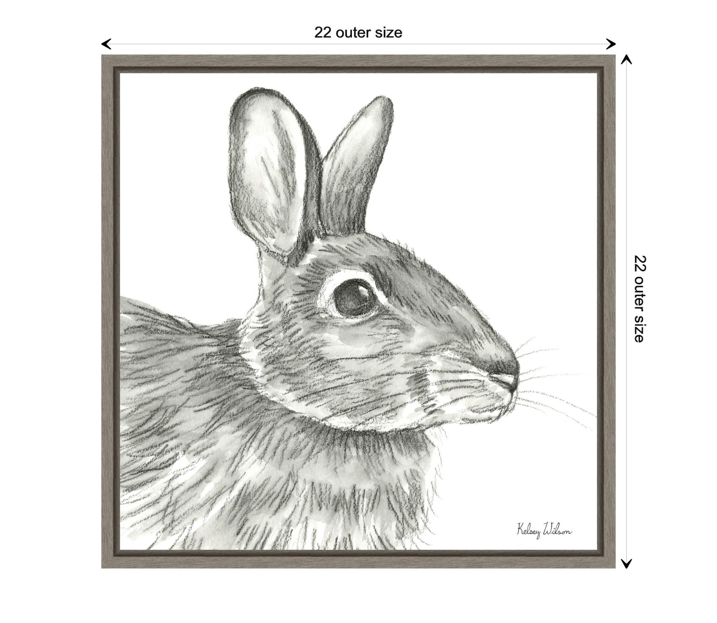 Watercolor Pencil II Rabbit Framed Canvas Wall Art Print