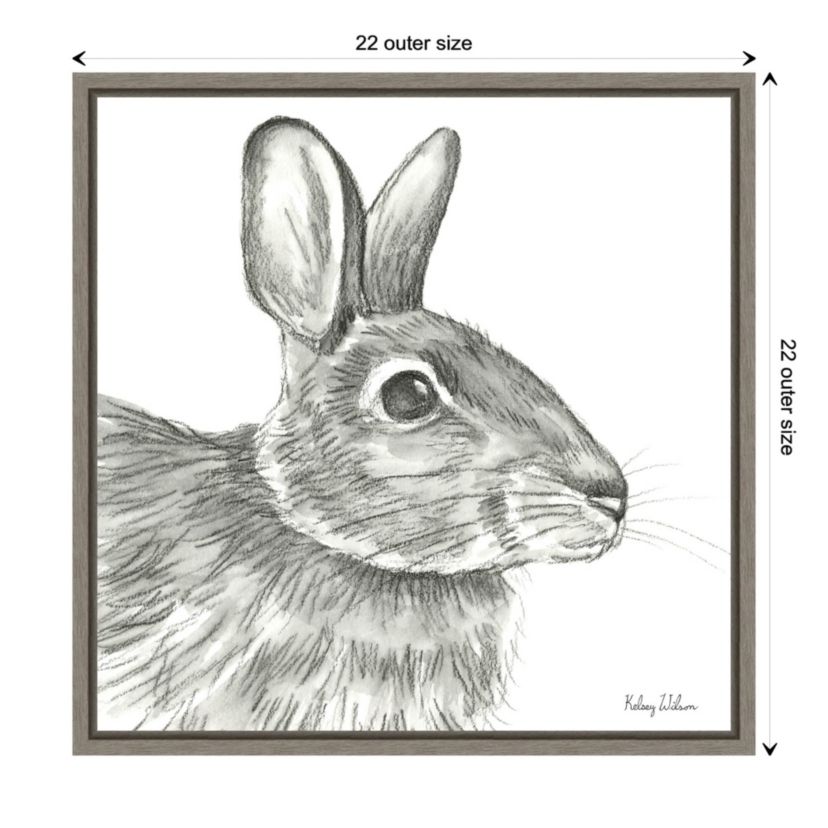 Watercolor Pencil II Rabbit Framed Canvas Wall Art Print