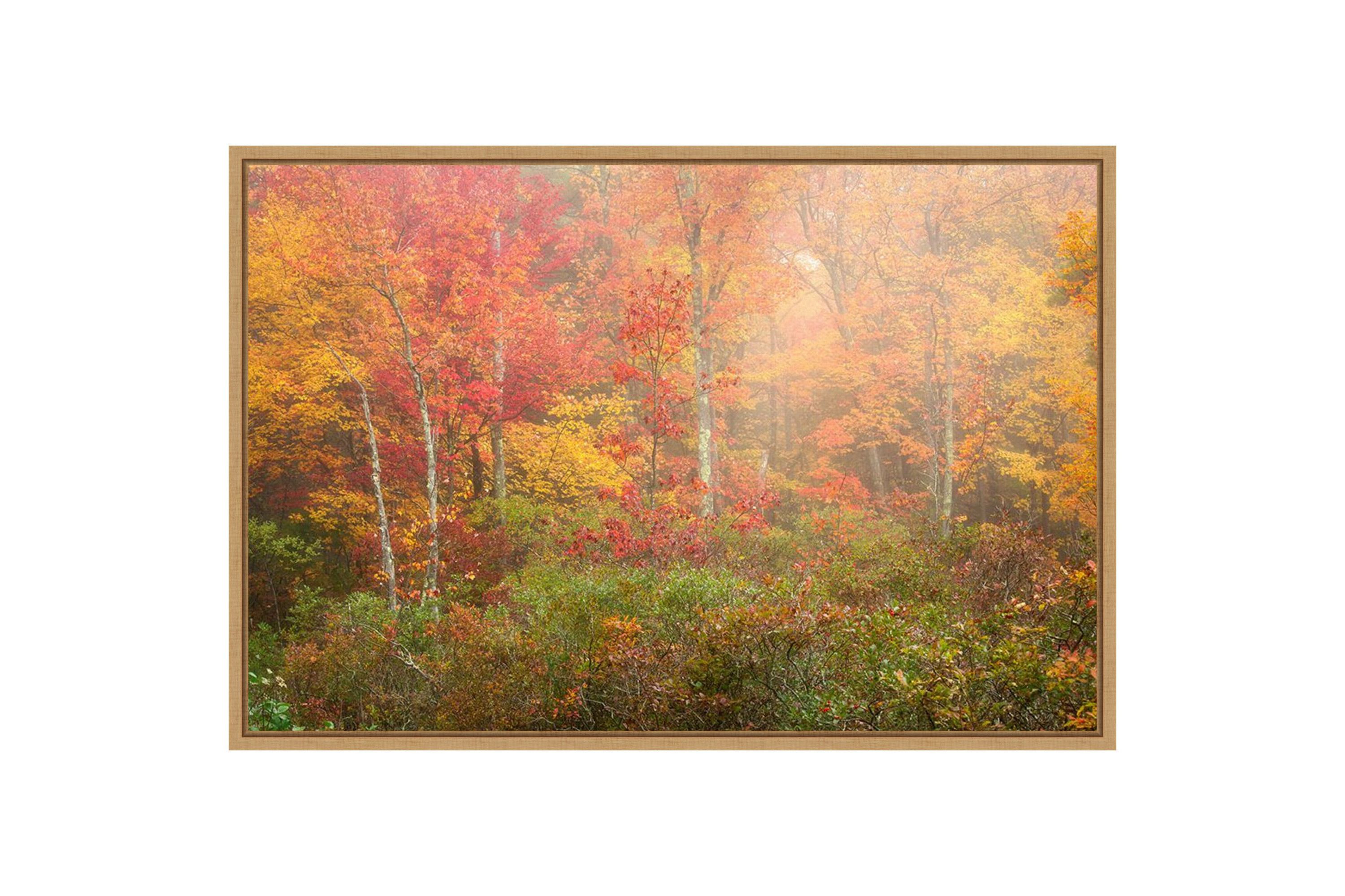 Soft Fall Forest Pallet Framed Canvas Wall Art Print