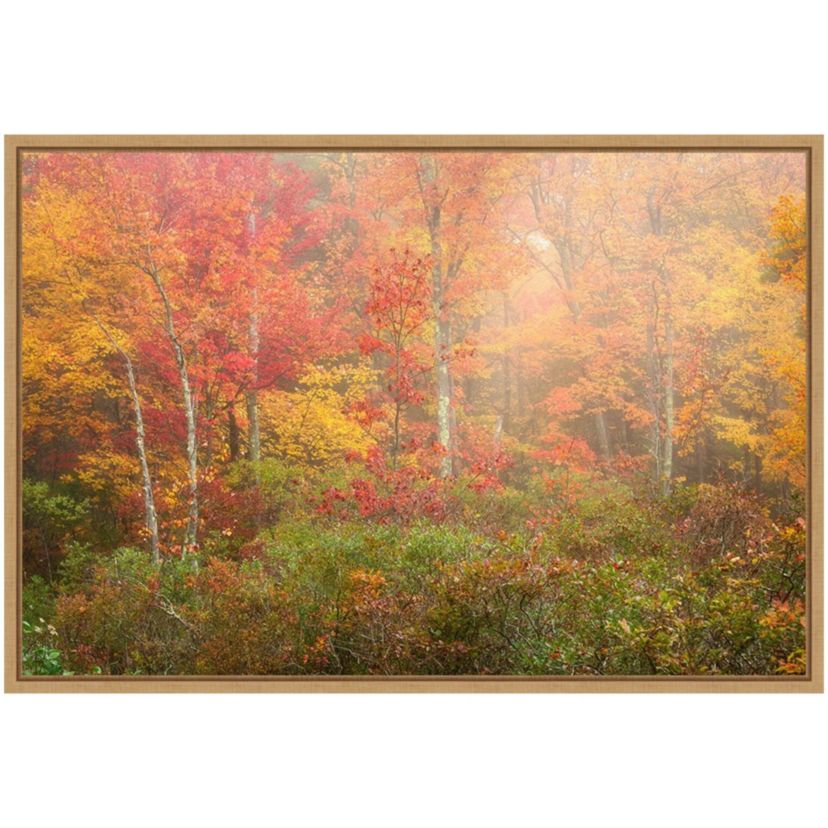 Soft Fall Forest Pallet Framed Canvas Wall Art Print