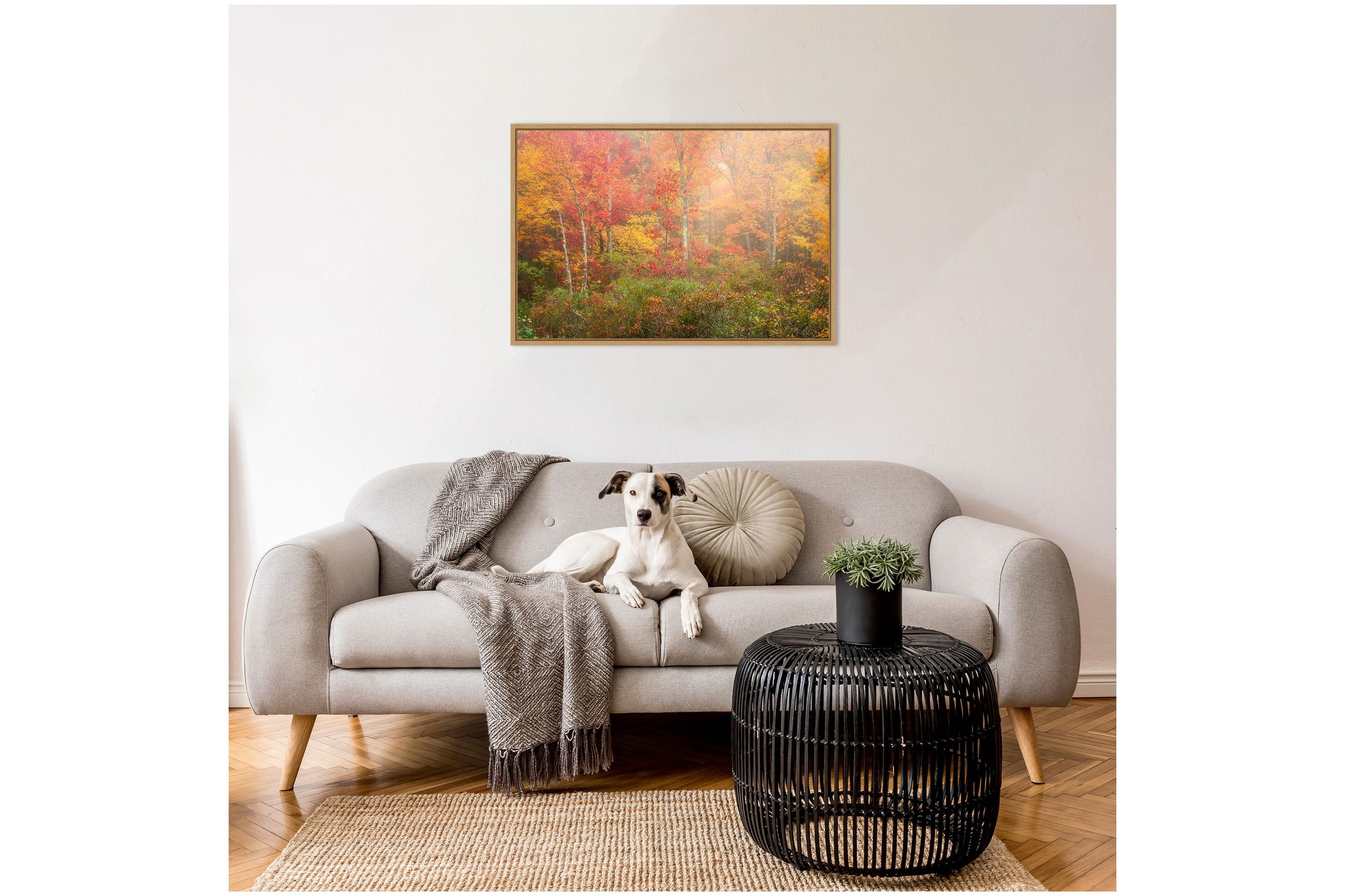 Soft Fall Forest Pallet Framed Canvas Wall Art Print
