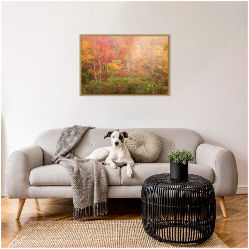 Soft Fall Forest Pallet Framed Canvas Wall Art Print