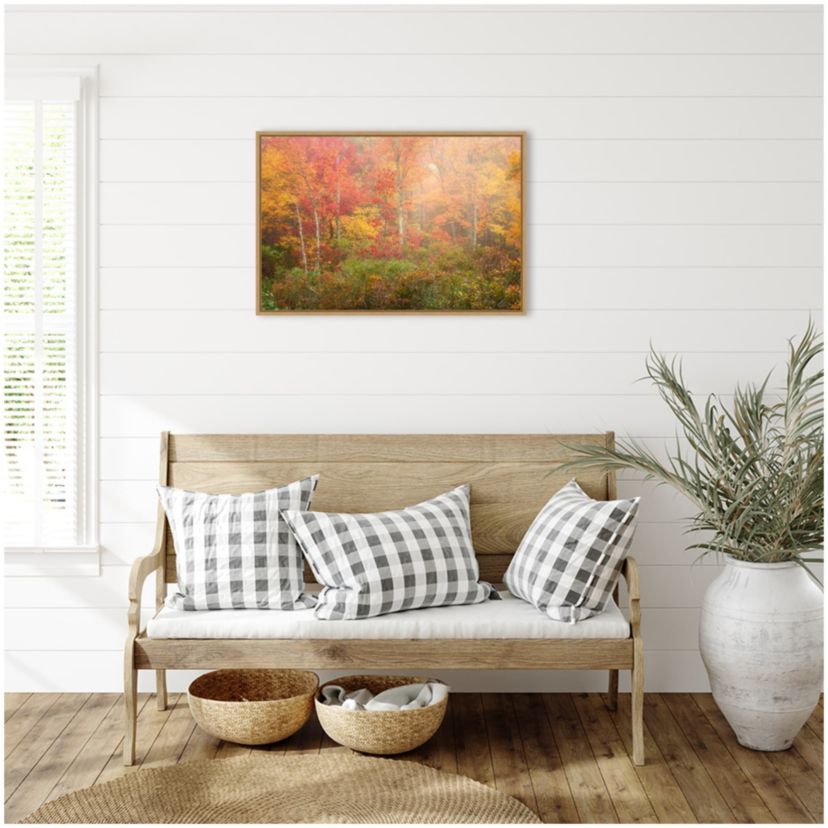 Soft Fall Forest Pallet Framed Canvas Wall Art Print