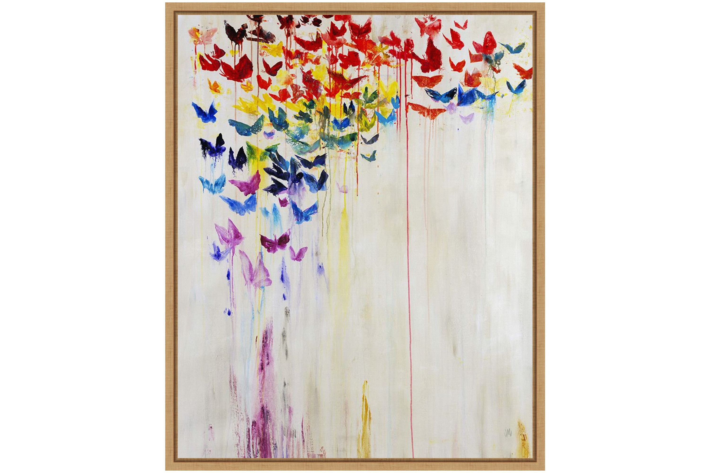 Butterfly Spectrum II Framed Canvas Wall Art Print