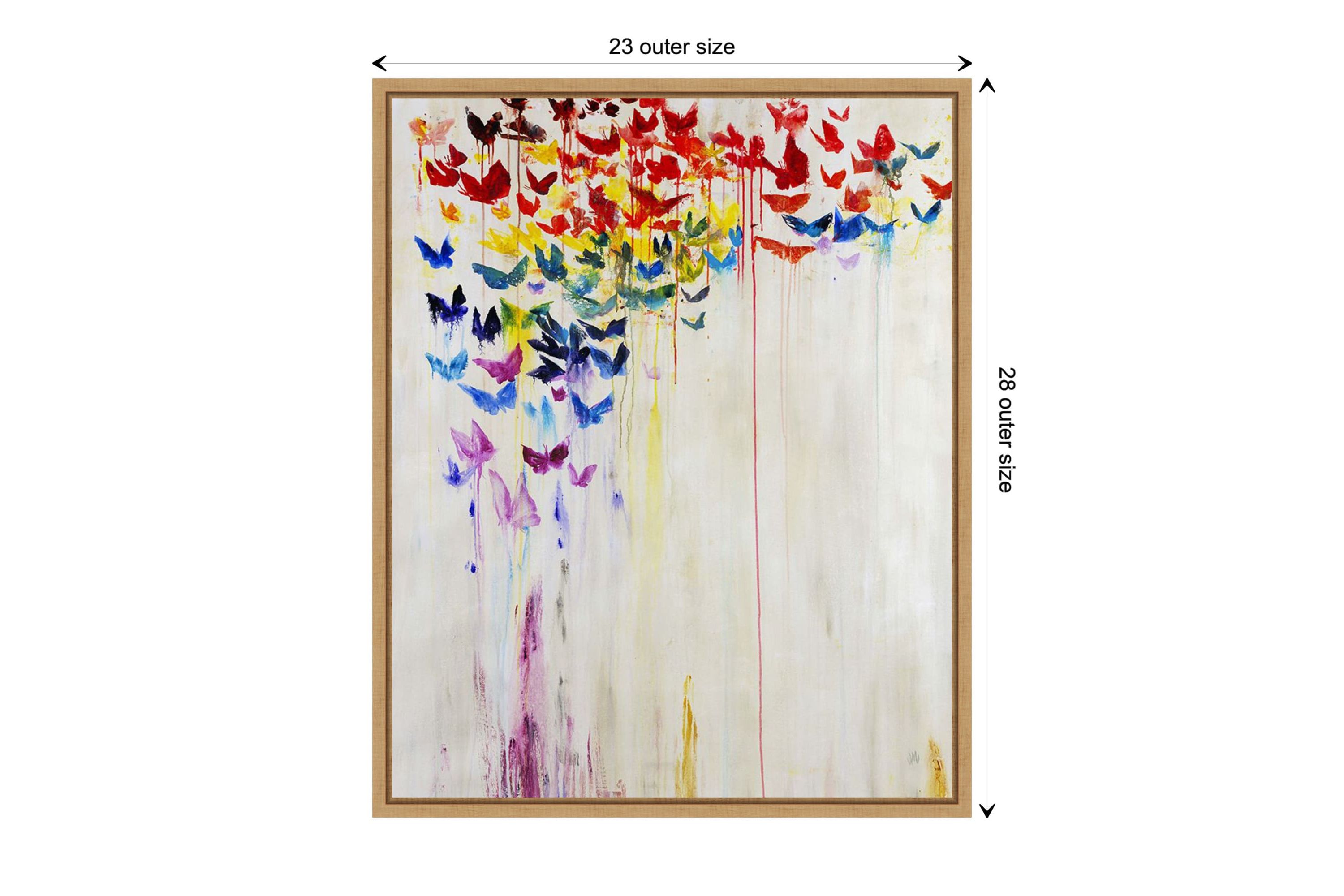 Butterfly Spectrum II Framed Canvas Wall Art Print