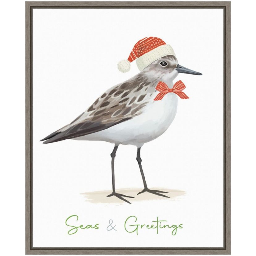 Christmas Sandpiper I Framed Canvas Wall Art Print