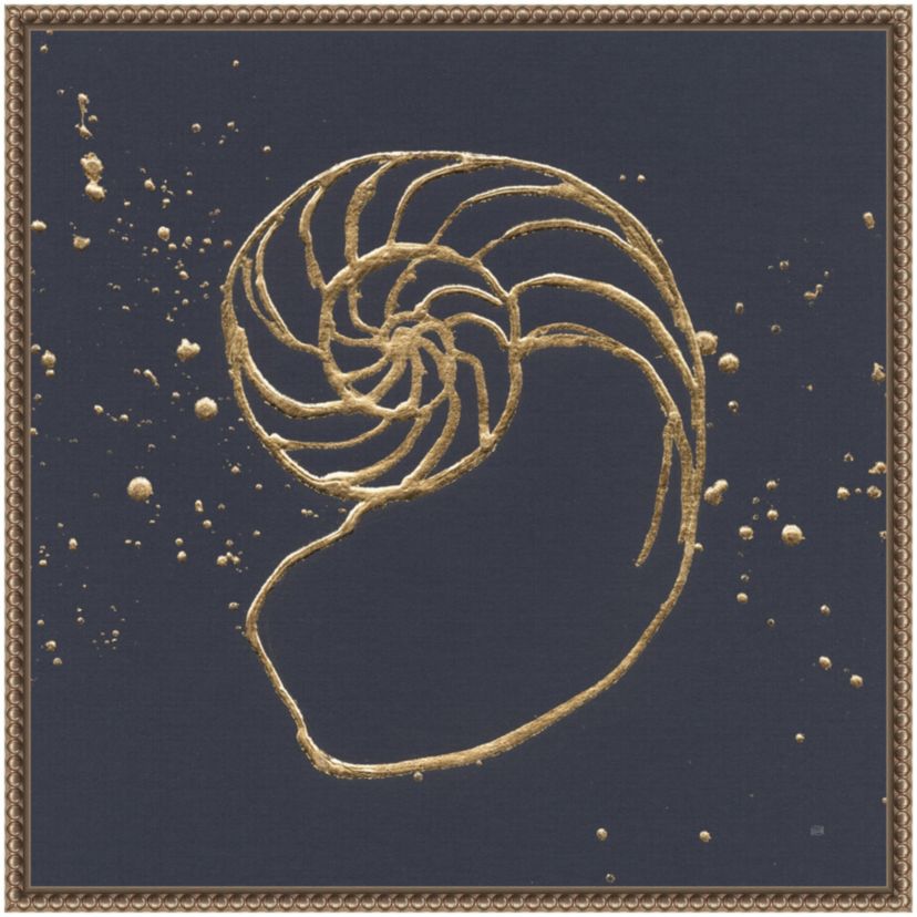 Gold Nautilus II Framed Canvas Wall Art Print