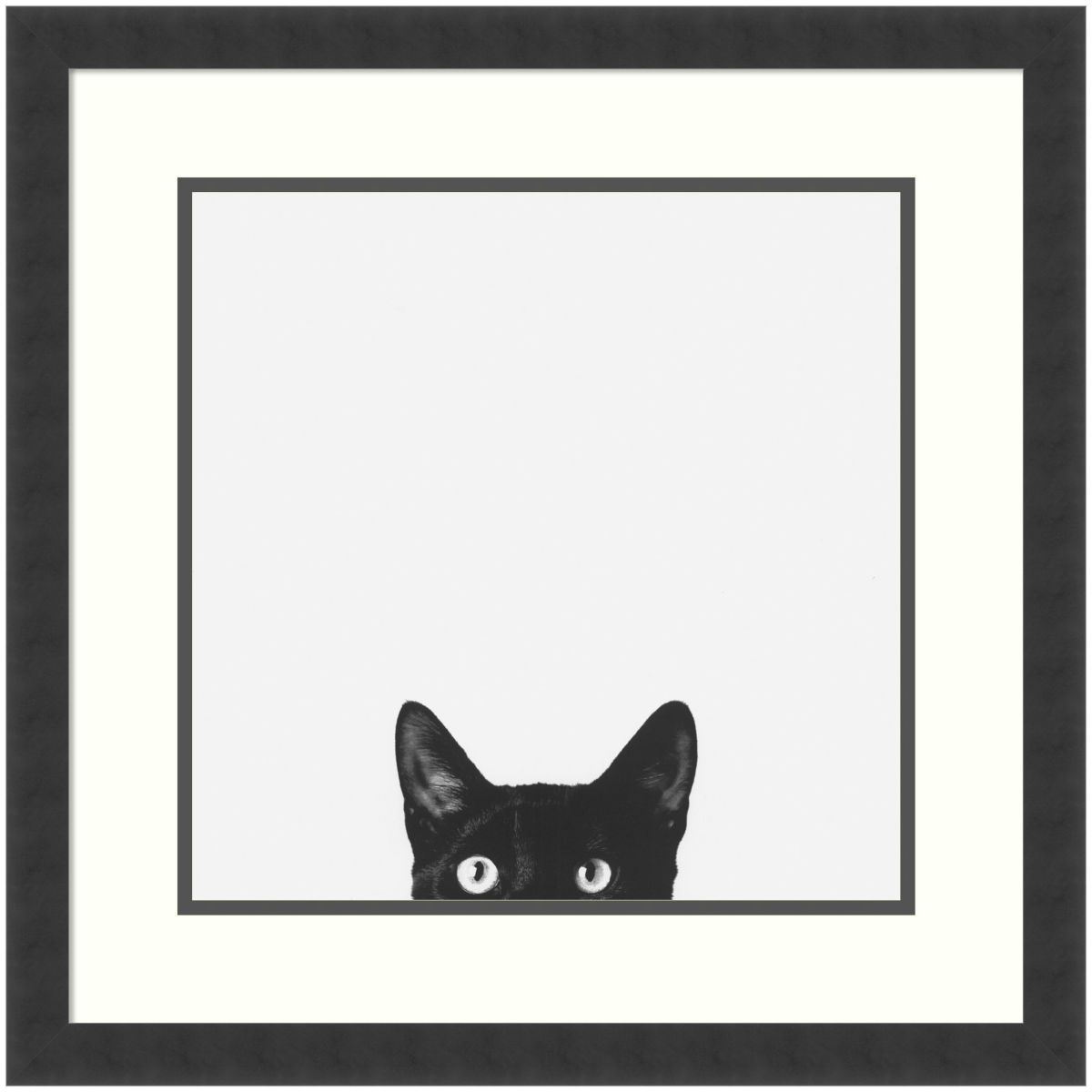 Curiosity (Cat) by Jon Bertelli Wood Framed Wall Art Print