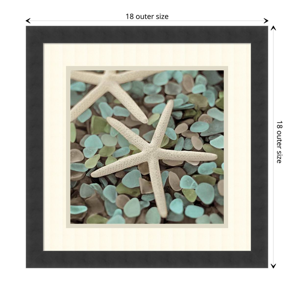 Aquatic 1 by Alan Blaustein Wood Framed Wall Art Print