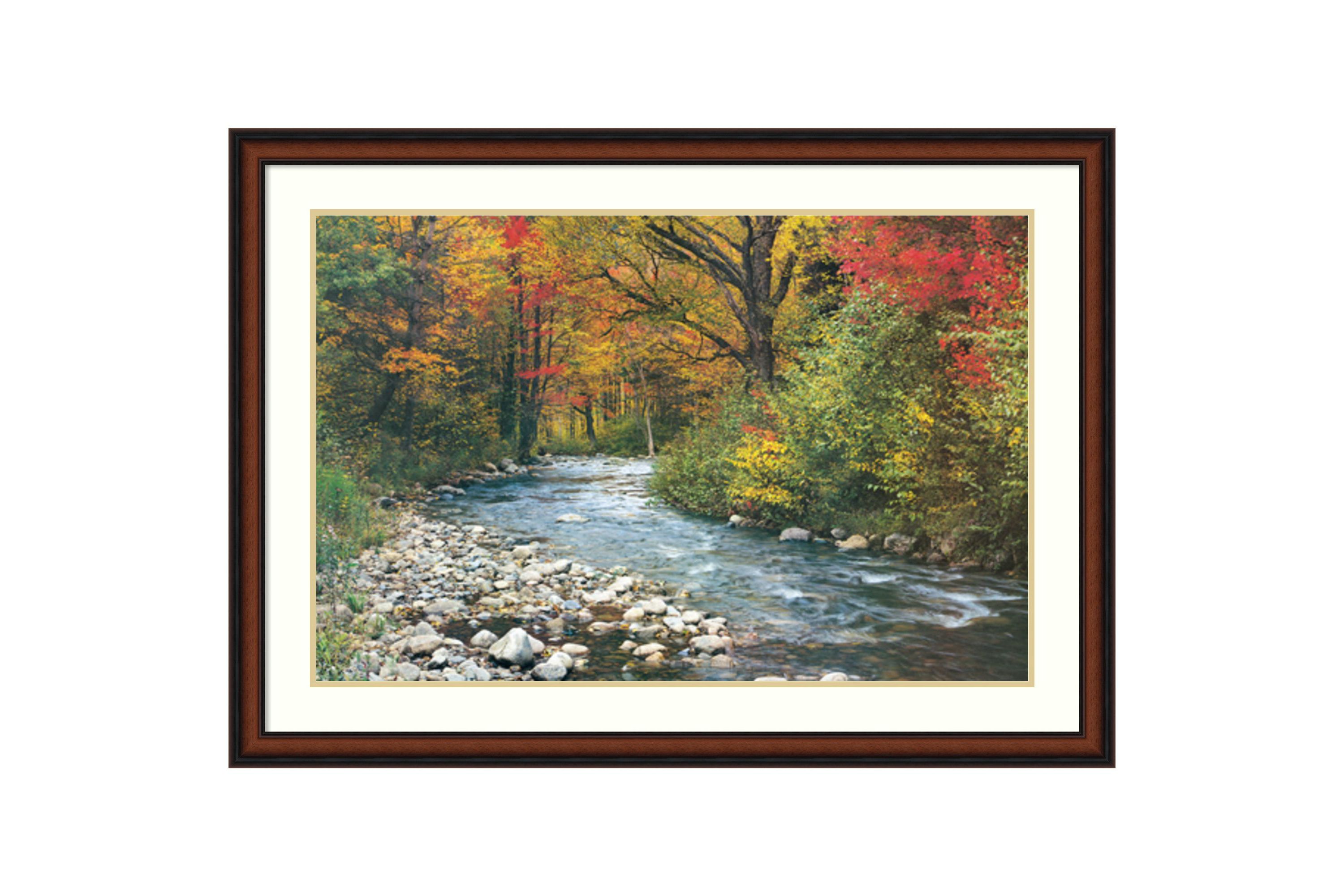 Forest Creek I Framed Wall Art Print