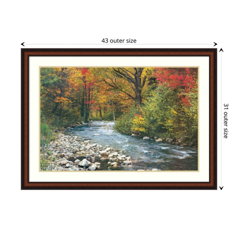 Forest Creek I Framed Wall Art Print