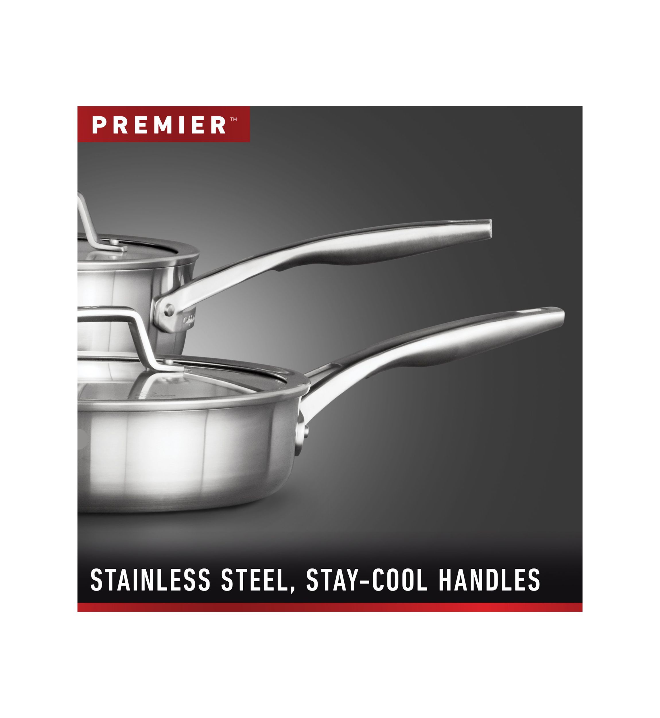 Premier Stainless Steel 10 Frying Pan