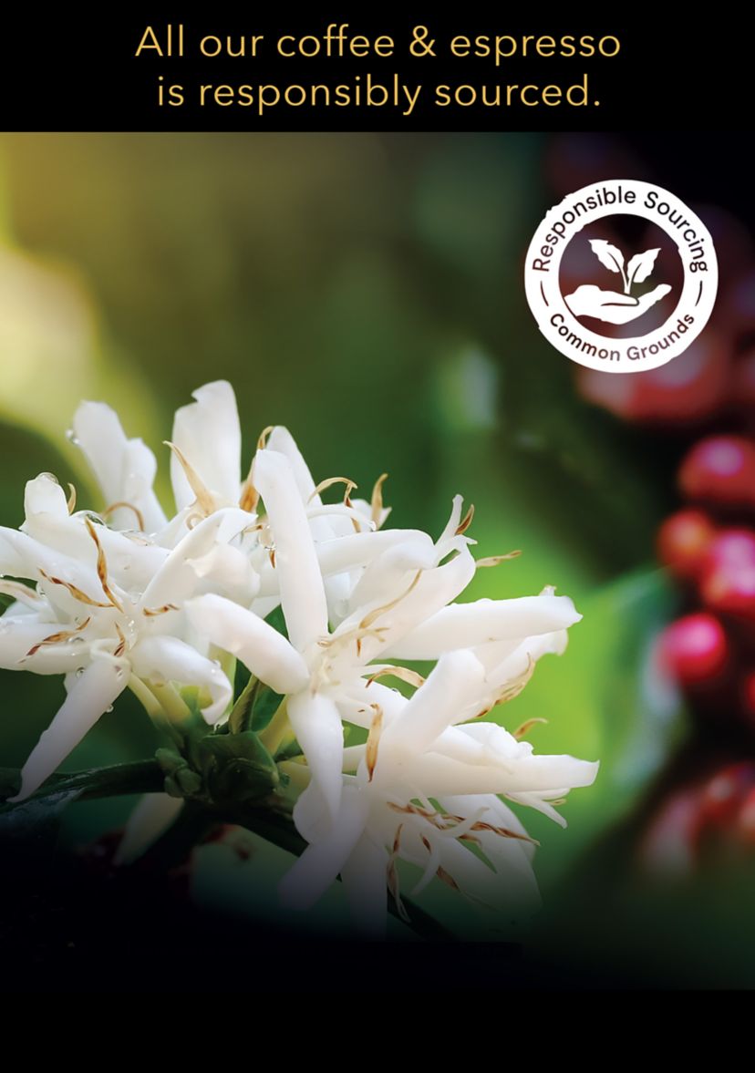 LOR BARISTA System Espresso Ristretto Ground Coffee Capsules