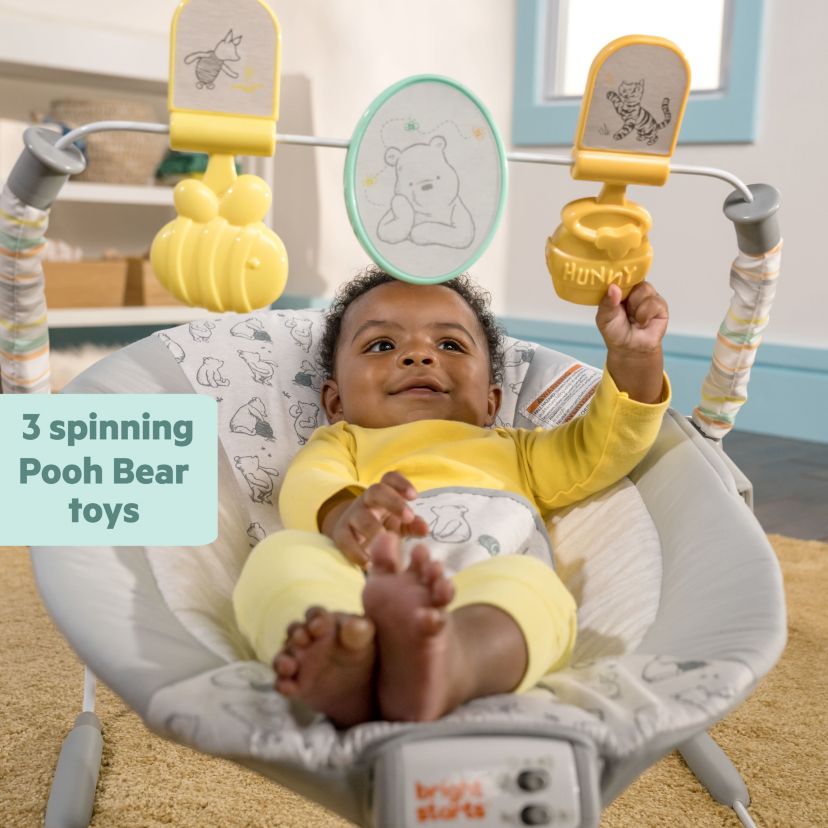 Disney Baby Winnie the Pooh Classic Pals Vibrating Bouncer