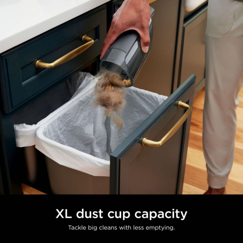 Cyclone PET Handheld Vacuum with PetExtract Hair Tool