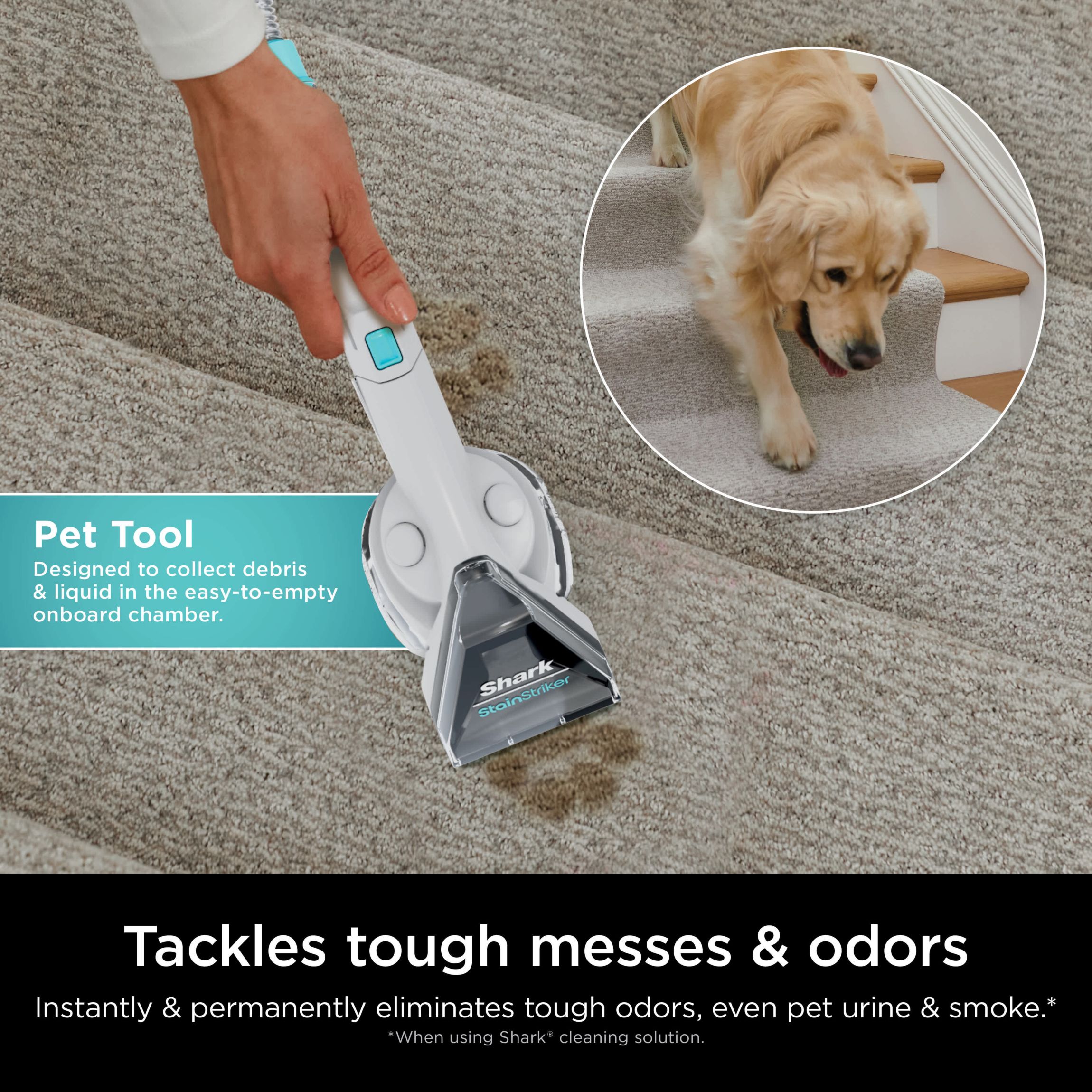 CarpetXpert with Stainstriker Upright Deep Carpet Cleaner