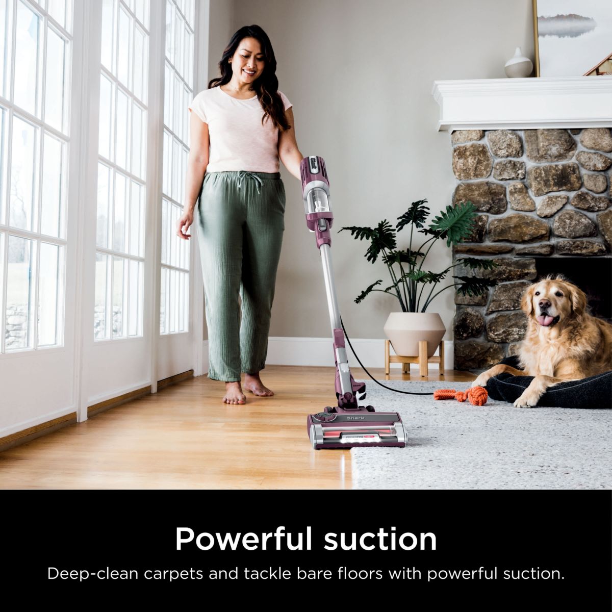 UltraLight PetPro Corded Stick Vacuum