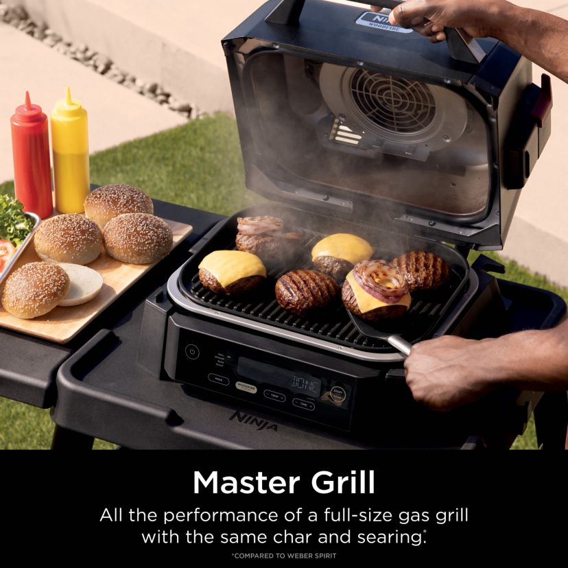 Woodfire Outdoor Grill & Smoker