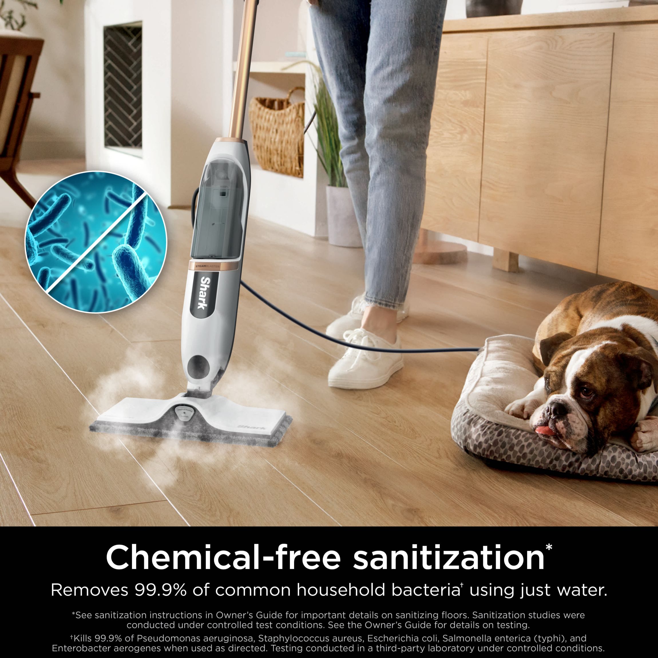 SteamSpot Steam Mop with Steam Blaster