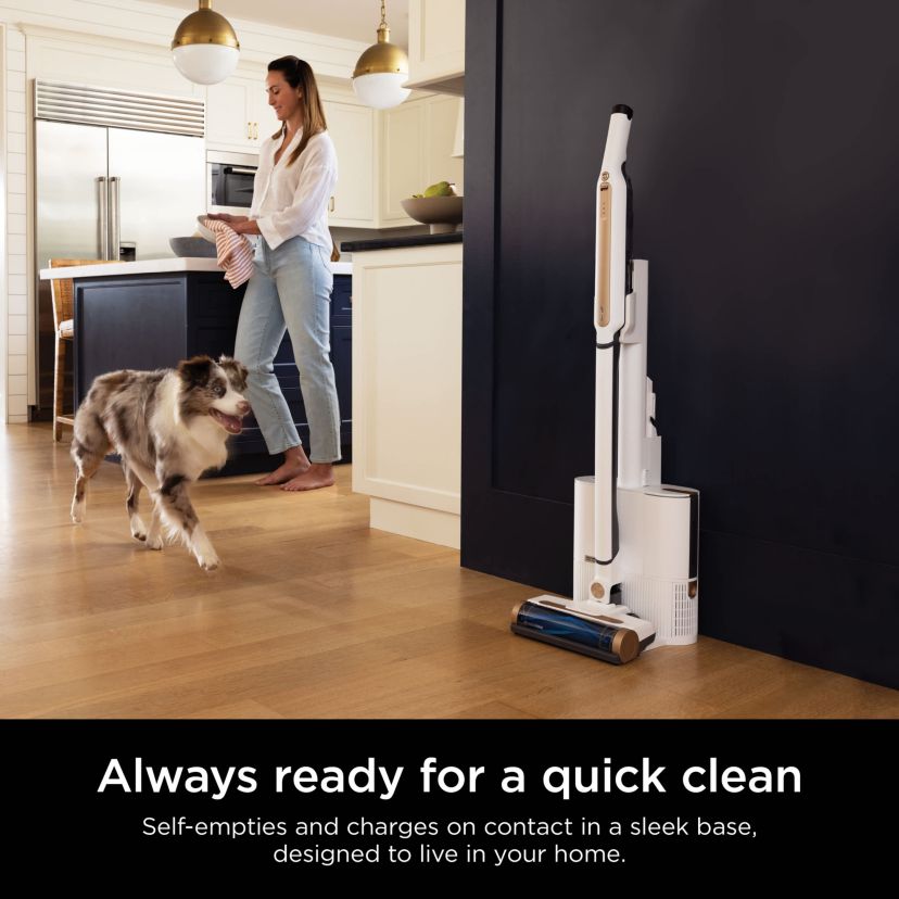 Wandvac Cordless Self-Empty System + HEPA